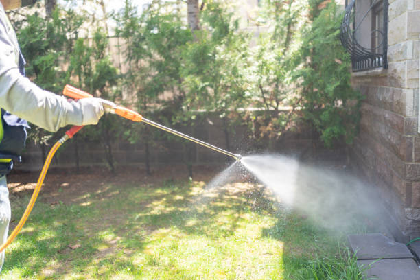 Wasp Removal Services in Botkins, OH