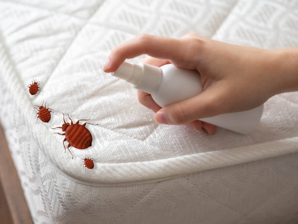 Best Bed Bug Extermination  in Botkins, OH