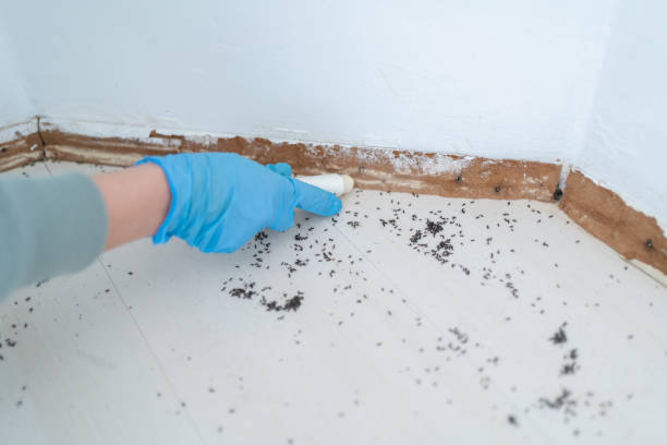 Best Commercial Pest Control Services  in Botkins, OH